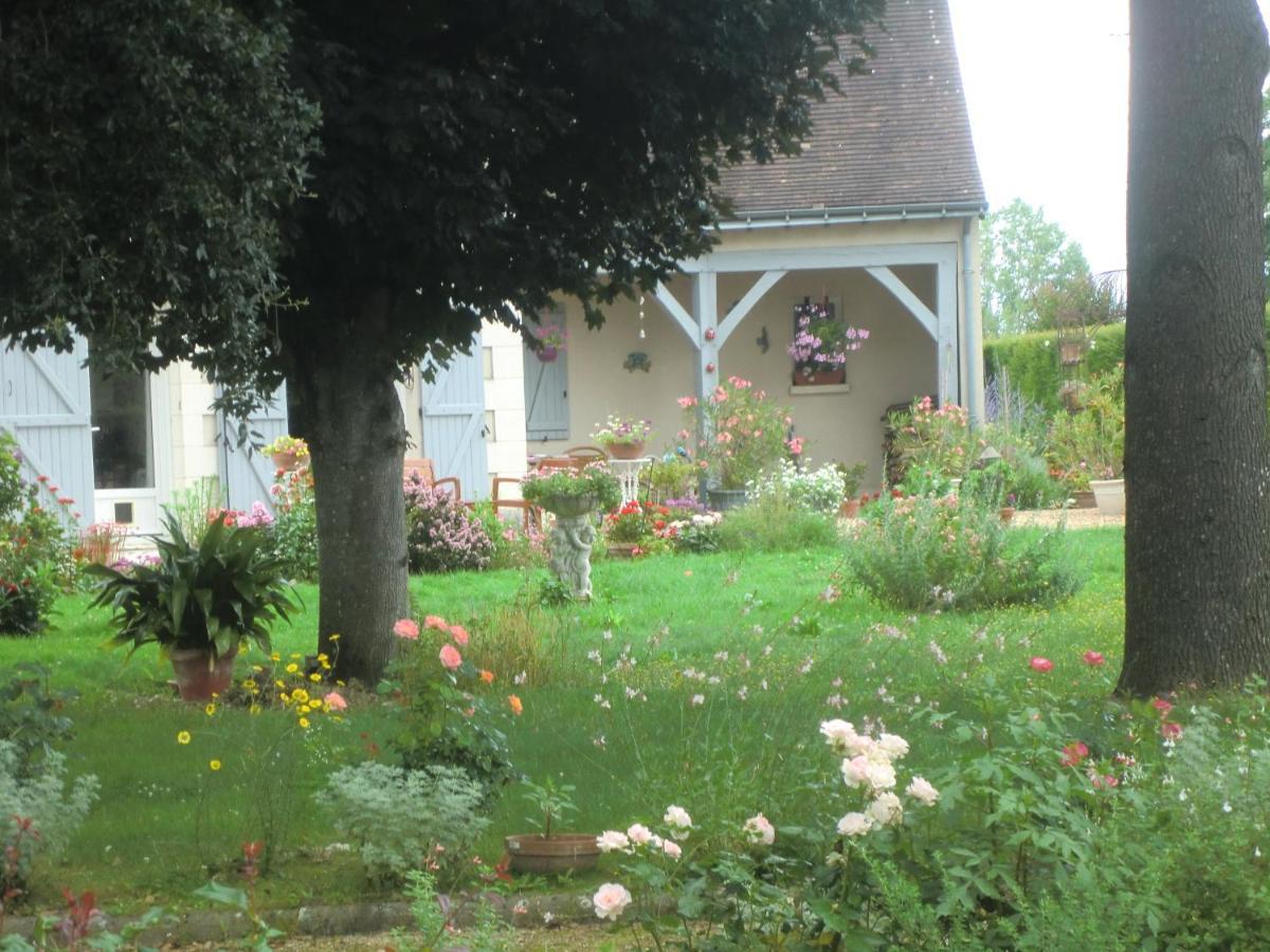 Chambre D'Hotes La Belle Saison Villedomer Екстер'єр фото